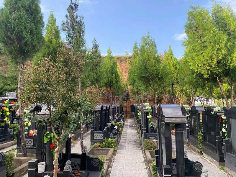 園區(qū)景觀(guān)